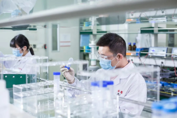 生物技術開發的連續輝煌 連續四年位居全國第二的成就與啟示